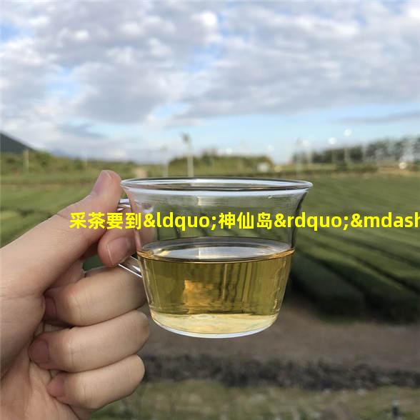 采茶要到“神仙岛”——君山银针的产地