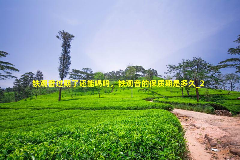 铁观音过期了还能喝吗，铁观音的保质期是多久