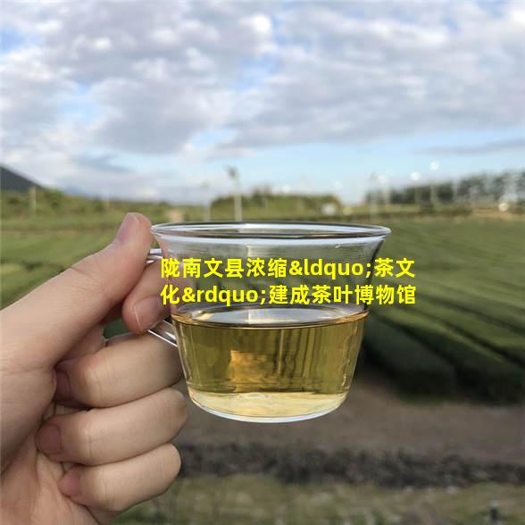 陇南文县浓缩“茶文化”建成茶叶博物馆