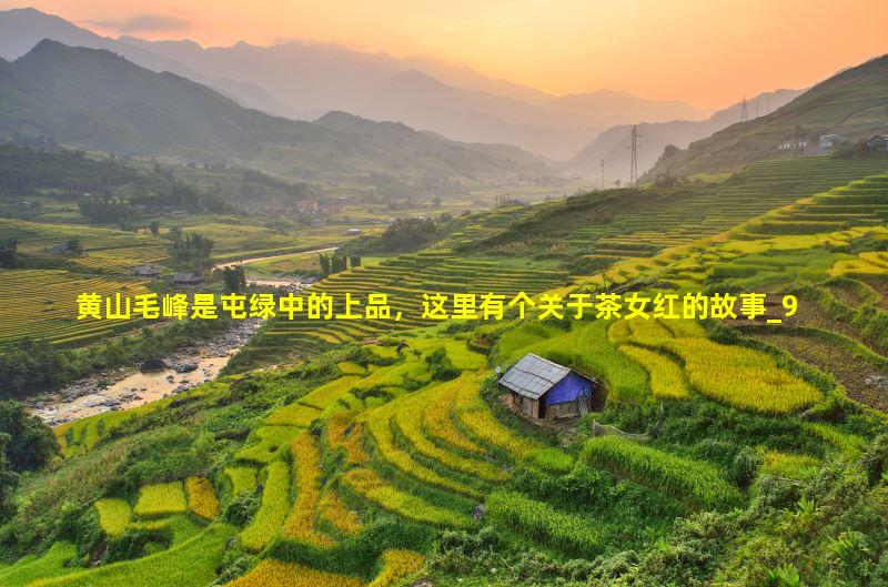 黄山毛峰是屯绿中的上品，这里有个关于茶女红的故事